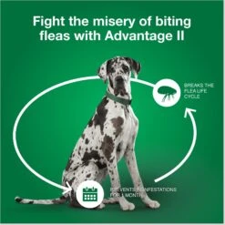 Advantage II Flea Spot Treatment For Dogs, Over 55 Lbs -Pet Wellness 73929 PT6. AC SS1800 V1680193430