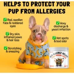 Legitpet Allergy & Immune Support Chicken Flavored Chew Supplement For Adult Dogs 10 Legitpet Allergy & Immune Support Chicken Flavored Chew Supplement For Adult Dogs -Pet Wellness 740758 PT2. AC SS1800 V1673630739