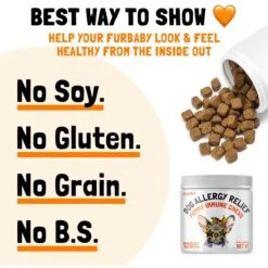 Legitpet Allergy & Immune Support Chicken Flavored Chew Supplement For Adult Dogs 12 Legitpet Allergy & Immune Support Chicken Flavored Chew Supplement For Adult Dogs -Pet Wellness 740758 PT4. AC SS1800 V1673628357