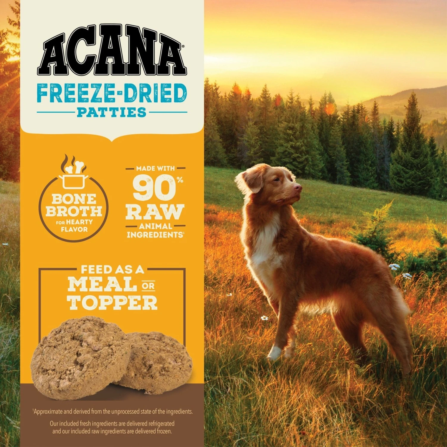 ACANA Chicken Recipe Patties Grain-Free Freeze-Dried Dog Food & Topper, 14-oz Bag 6 ACANA Chicken Recipe Patties Grain-Free Freeze-Dried Dog Food & Topper, 14-oz Bag - Image 6