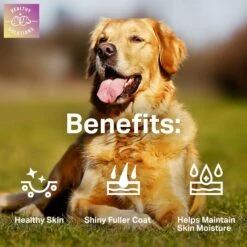 Healthy Solutions For Pets Salmon Oil Skin & Coat Supplement For Dogs, 180 Count -Pet Wellness 743446 PT2. AC SS1800 V1674574106