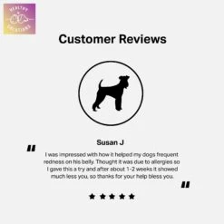 Healthy Solutions For Pets Immune System & Allergy Supplement For Dogs, 60 Count -Pet Wellness 743510 PT4. AC SS1800 V1674587815