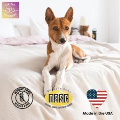 Healthy Solutions For Pets Immune System & Allergy Supplement For Dogs, 60 Count -Pet Wellness 743510 PT5. AC SS1800 V1674574105