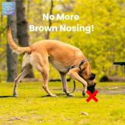 Healthy Solutions For Pets Coprophagia Supplement For Dogs -Pet Wellness 743542 PT2. AC SS1800 V1674574163