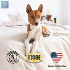 Healthy Solutions For Pets Coprophagia Supplement For Dogs -Pet Wellness 743542 PT5. AC SS1800 V1674581576