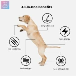 Healthy Solutions For Pets All-in-One Vitamins Supplement For Dogs -Pet Wellness 743566 PT2. AC SS1800 V1674586800