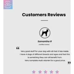 Healthy Solutions For Pets All-in-One Vitamins Supplement For Dogs -Pet Wellness 743566 PT4. AC SS1800 V1674587821