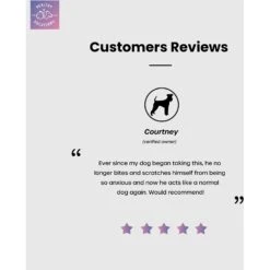 Healthy Solutions For Pets Calming Supplement Dog Treat 11 Healthy Solutions For Pets Calming Supplement Dog Treat -Pet Wellness 743590 PT4. AC SS1800 V1674587815