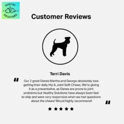 Healthy Solutions For Pets Maintenance Hip & Joint Support Formula -Pet Wellness 743614 PT4. AC SS1800 V1674586914