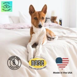 Healthy Solutions For Pets Maintenance Hip & Joint Support Formula -Pet Wellness 743614 PT5. AC SS1800 V1674578448