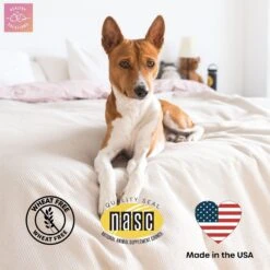 Healthy Solutions For Pets Probiotics & Digestive Chews With Prebiotics -Pet Wellness 743670 PT5. AC SS1800 V1674581577