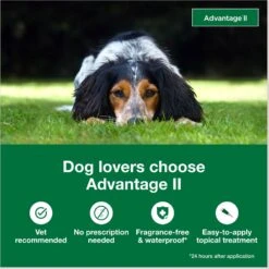 Advantage II Flea Spot Treatment For Dogs, 11-20 Lbs -Pet Wellness 74388 PT2. AC SS1800 V1680193431