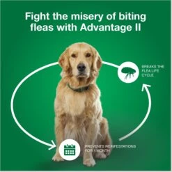 Advantage II Flea Spot Treatment For Dogs, 11-20 Lbs -Pet Wellness 74388 PT6. AC SS1800 V1680193222