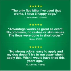 Advantage II Flea Spot Treatment For Dogs, 11-20 Lbs -Pet Wellness 74388 PT7. AC SS1800 V1680193163