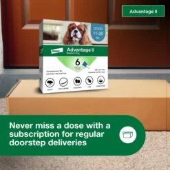 Advantage II Flea Spot Treatment For Dogs, 11-20 Lbs -Pet Wellness 74388 PT8. AC SS1800 V1680187752