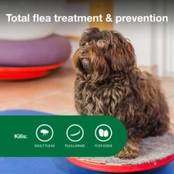Advantage II Flea Spot Treatment For Dogs, 3-10 Lbs -Pet Wellness 74389 PT3. AC SS1800 V1680187692