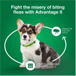 Advantage II Flea Spot Treatment For Dogs, 3-10 Lbs -Pet Wellness 74389 PT6. AC SS1800 V1680193162