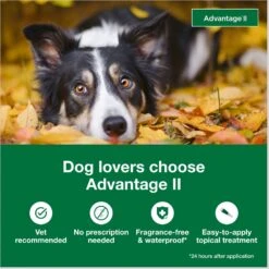 Advantage II Flea Treatment For Dogs, 21-55 Lbs -Pet Wellness 74392 PT2. AC SS1800 V1680192819