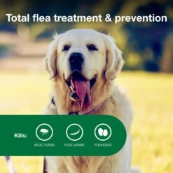 Advantage II Flea Treatment For Dogs, 21-55 Lbs -Pet Wellness 74392 PT3. AC SS1800 V1680189948