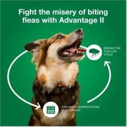 Advantage II Flea Treatment For Dogs, 21-55 Lbs -Pet Wellness 74392 PT6. AC SS1800 V1680192818