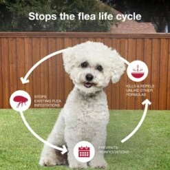 K9 Advantix II Flea & Tick Spot Treatment For Dogs, 4-10 Lbs -Pet Wellness 74394 PT6. AC SS1800 V1680187178