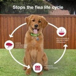 K9 Advantix II Flea & Tick Spot Treatment For Dogs, 11-20 Lbs -Pet Wellness 74396 PT6. AC SS1800 V1680188172