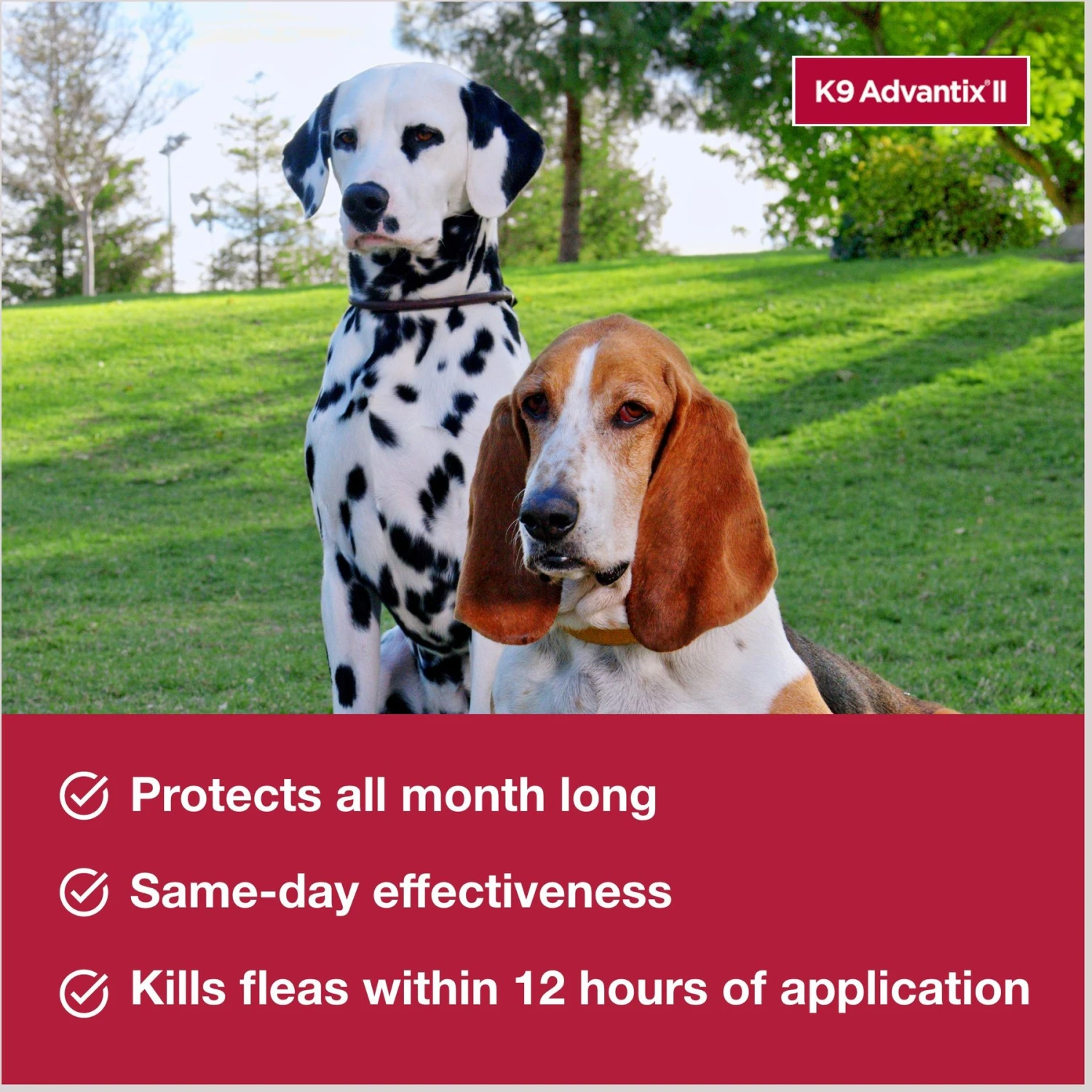 K9 Advantix II Flea & Tick Spot Treatment For Dogs, 21-55 Lbs 4 K9 Advantix II Flea & Tick Spot Treatment For Dogs, 21-55 Lbs - Image 4