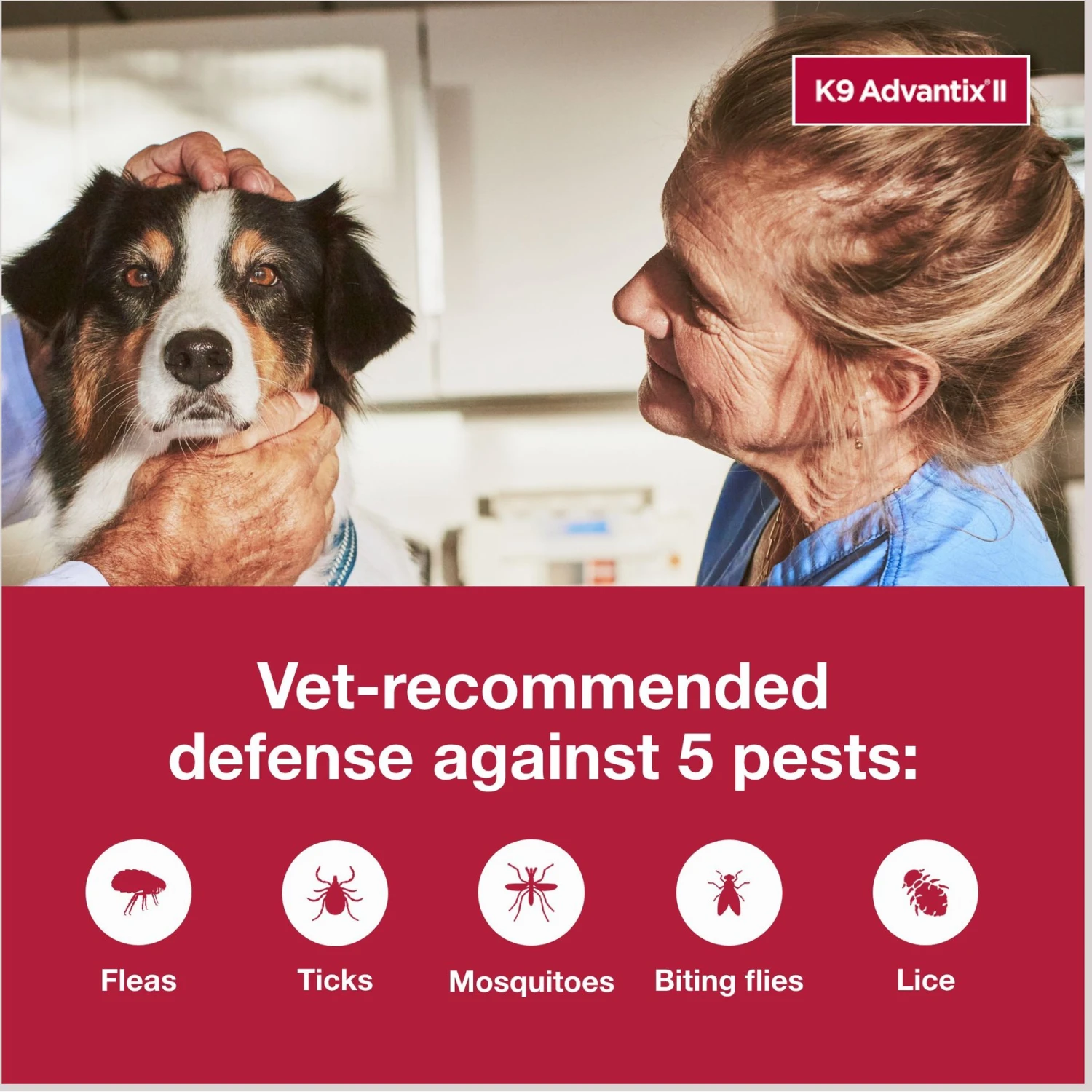 K9 Advantix II Flea & Tick Spot Treatment For Dogs, 21-55 Lbs 5 K9 Advantix II Flea & Tick Spot Treatment For Dogs, 21-55 Lbs - Image 5