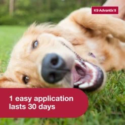 K9 Advantix II Flea & Tick Spot Treatment For Dogs, 21-55 Lbs 14 K9 Advantix II Flea & Tick Spot Treatment For Dogs, 21-55 Lbs -Pet Wellness 74405 PT5. AC SS1800 V1680188171