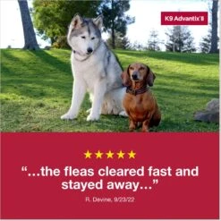 K9 Advantix II Flea & Tick Spot Treatment For Dogs, Over 55 Lbs -Pet Wellness 74407 PT7. AC SS1800 V1680193164