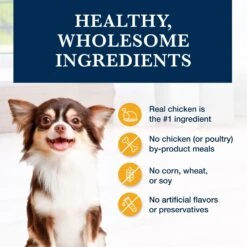 Blue Buffalo Natural Veterinary Diet KS Kidney Support Dry Dog Food -Pet Wellness 744862 PT5. AC SS1800 V1695495225