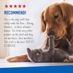 Adams® Adams Topical Flea & Tick Spray For Dogs & Cats 13 Adams® Adams Topical Flea & Tick Spray For Dogs & Cats -Pet Wellness 74673 PT6. AC SS1800 V1658775245