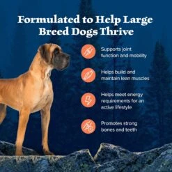 Blue Buffalo Wilderness Large Breed Adult High Protein Natural Chicken & Wholesome Grains Dry Dog Food -Pet Wellness 748294 PT3. AC SS1800 V1694549409