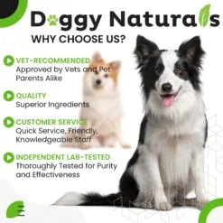 Pet Health Pharma Aloe & Eucalyptus Cat & Dog Ear Cleaner Wipes, 100 Count -Pet Wellness 748622 PT6. AC SS1800 V1677249914