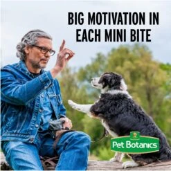 Pet Botanics Training Reward Bacon Flavor Dog Treats -Pet Wellness 74864 PT6. AC SS1800 V1523484941