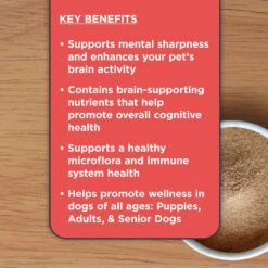Nulo Functional Cognitive Health Powder Supplement For Dogs, 4.23-oz -Pet Wellness 749774 PT3. AC SS1800 V1672243399