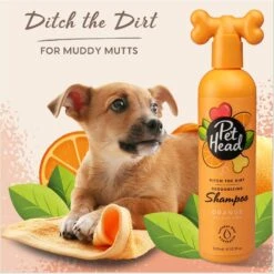 Pet Head Ditch The Dirt Dog Shampoo, 16.0-oz Bottle -Pet Wellness 750126 PT2. AC SS1800 V1675108511