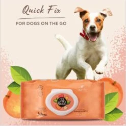 Pet Head Quick Fix Dog Wipes, 80 Count -Pet Wellness 750222 PT2. AC SS1800 V1675100746