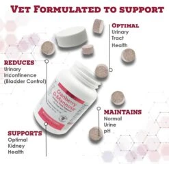 Pet Health Solutions Cranberry D-Mannose Urinary Tract Support Chews Supplement For Dogs 12 Pet Health Solutions Cranberry D-Mannose Urinary Tract Support Chews Supplement For Dogs -Pet Wellness 752006 PT3. AC SS1800 V1679494712