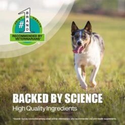 Nutramax Dasuquin Hip & Joint With MSM Chewable Tablets Joint Supplement For Small & Medium Dogs -Pet Wellness 75384 PT3. AC SS1800 V1668653341