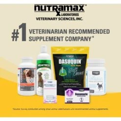 Nutramax Dasuquin Hip & Joint With MSM Chewable Tablets Joint Supplement For Small & Medium Dogs -Pet Wellness 75384 PT7. AC SS1800 V1668631464