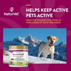 NaturVet Maintenance Care Glucosamine DS Soft Chews Joint Supplement For Dogs & Cats -Pet Wellness 75575 PT3. AC SS1800 V1698695354