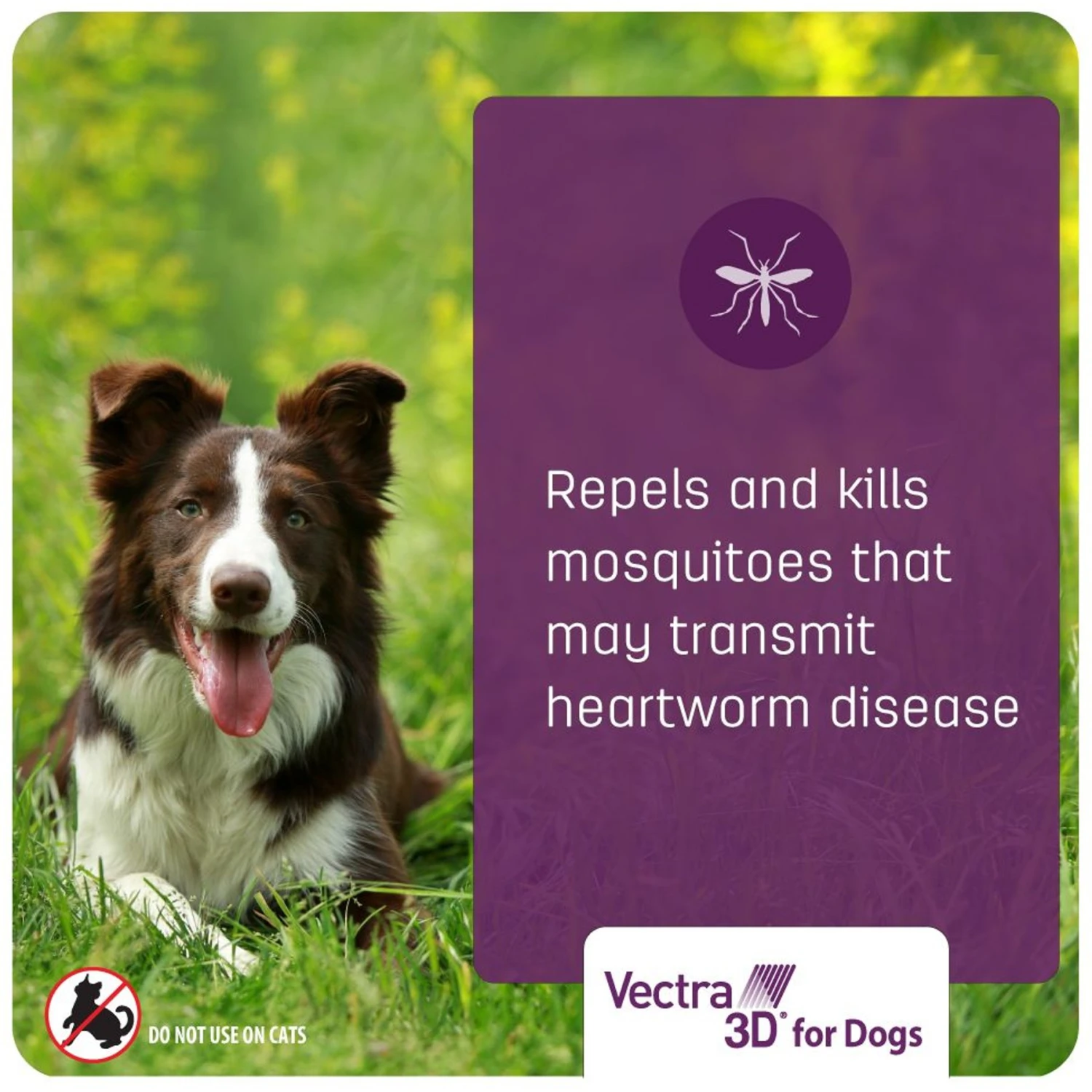 Vectra 3D Flea & Tick Control For Dogs Over 95lbs 7 Vectra 3D Flea & Tick Control For Dogs Over 95lbs - Image 7