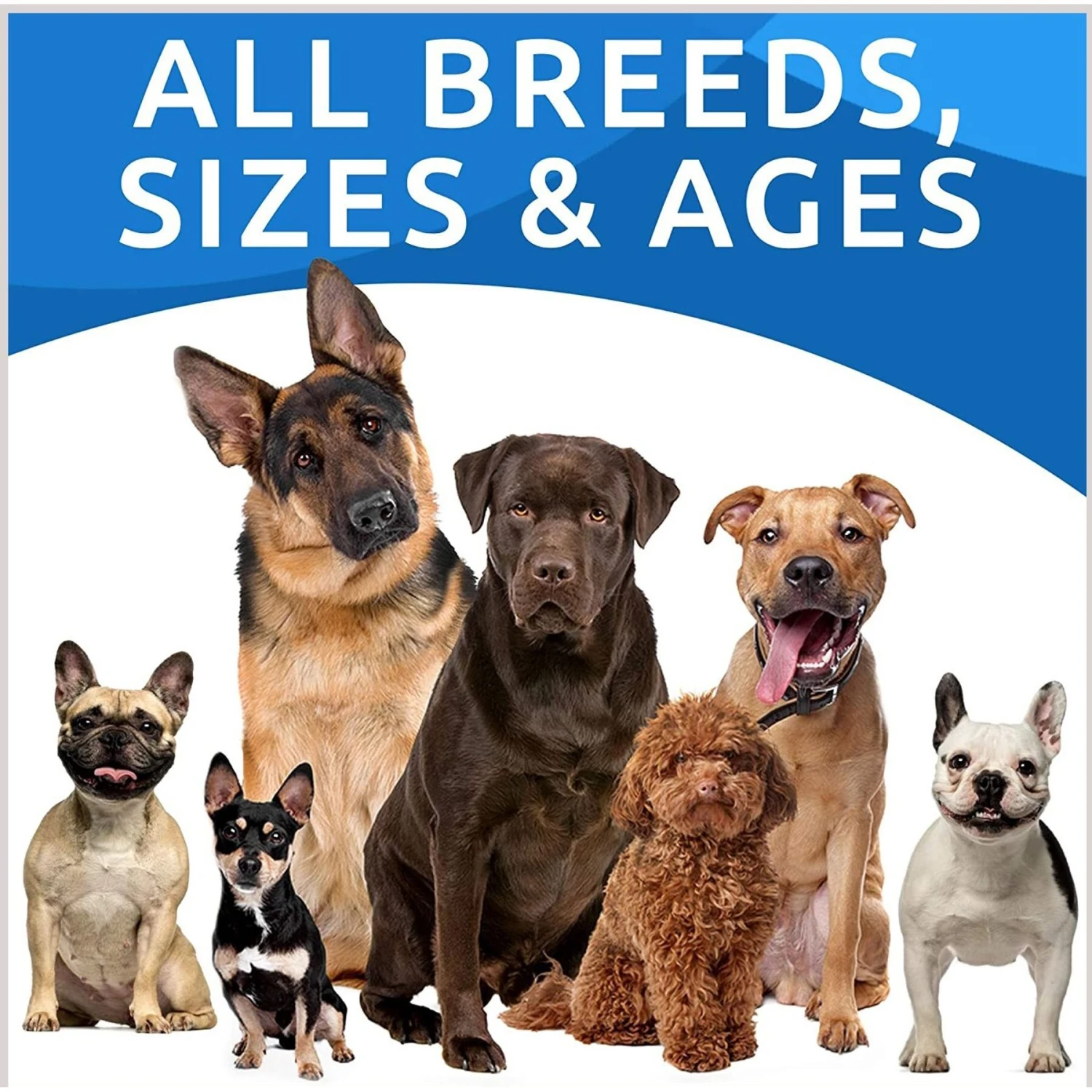 Bark&Spark Allergy Relief Immune Chews Dog Treats Skin & Coat Supplement 8 Bark&Spark Allergy Relief Immune Chews Dog Treats Skin & Coat Supplement - Image 8