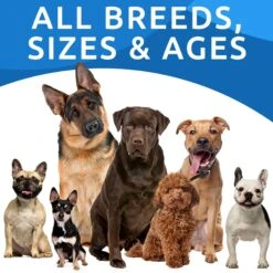 Bark&Spark Probiotics For Dogs With Digestive Enzymes Prebiotics Bacon Flavored Chew 17 Bark&Spark Probiotics For Dogs With Digestive Enzymes Prebiotics Bacon Flavored Chew -Pet Wellness 756238 PT8. AC SS1800 V1675088027