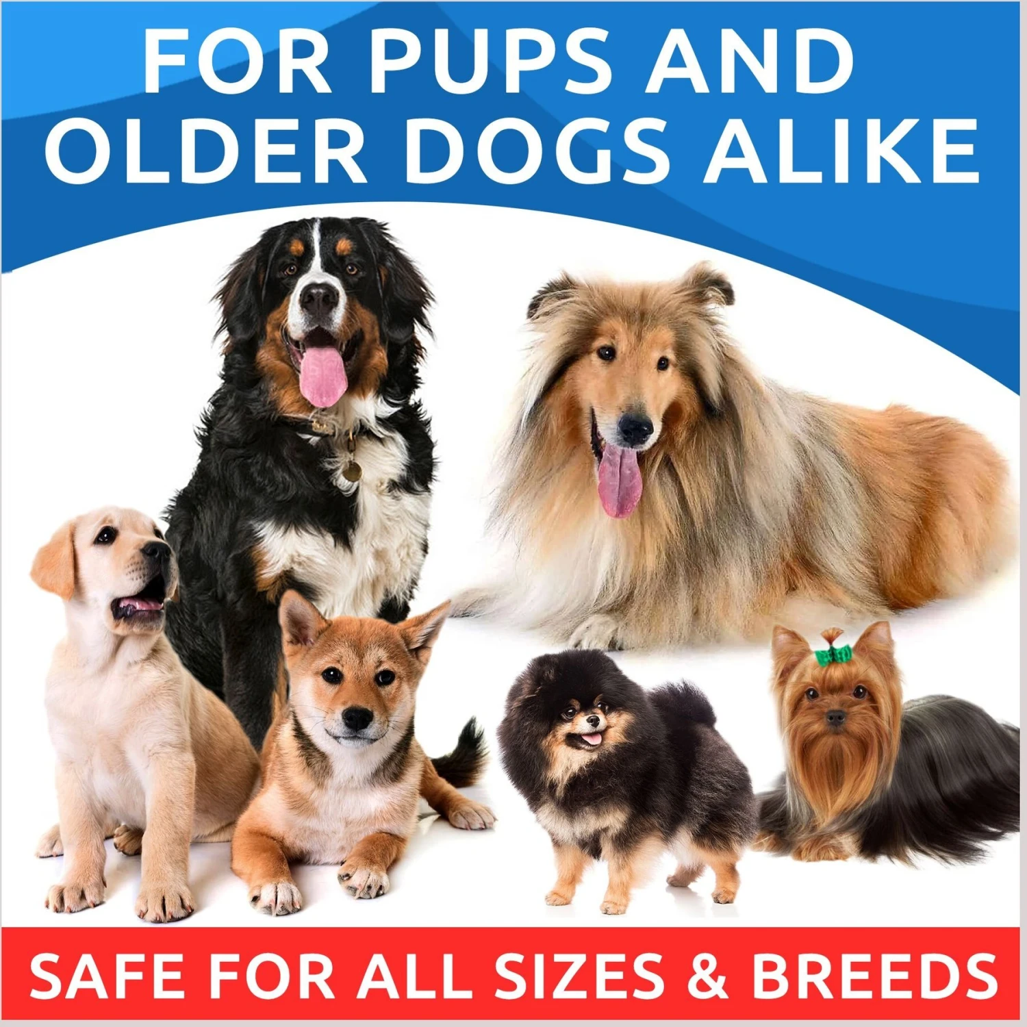 Bark&Spark Omega 3 Skin & Coat Dog Supplement 8 Bark&Spark Omega 3 Skin & Coat Dog Supplement - Image 8