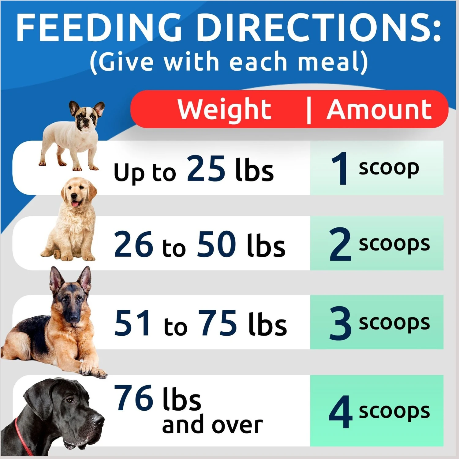 Bark&Spark Pumpkin Powdered Fiber & Stool Softener Cat & Dog Supplement, 8.1-oz Bag 5 Bark&Spark Pumpkin Powdered Fiber & Stool Softener Cat & Dog Supplement, 8.1-oz Bag - Image 5