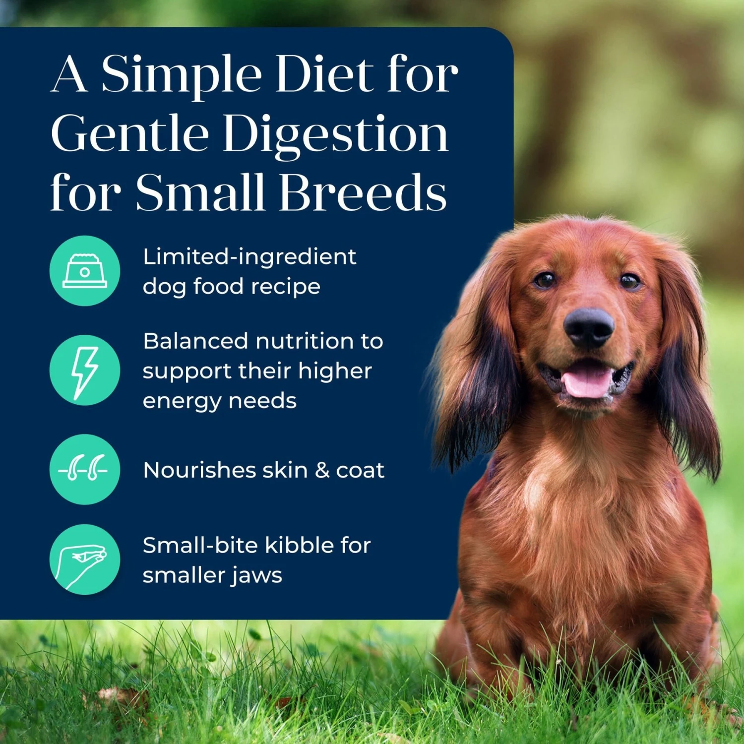 Blue Buffalo Basics Skin & Stomach Care Grain-Free Formula Lamb & Potato Recipe Small Breed Adult Dry Dog Food 3 Blue Buffalo Basics Skin & Stomach Care Grain-Free Formula Lamb & Potato Recipe Small Breed Adult Dry Dog Food - Image 3