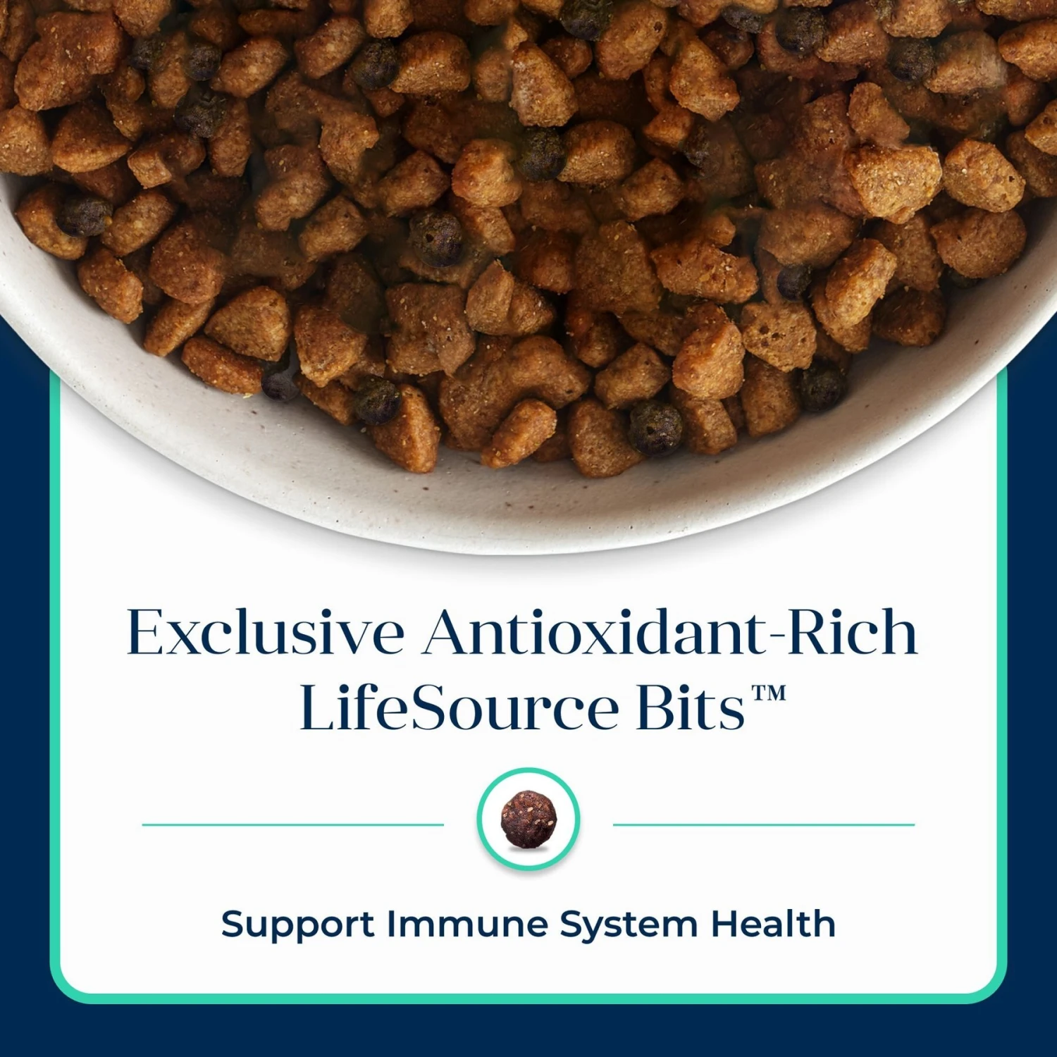 Blue Buffalo Basics Skin & Stomach Care Grain-Free Formula Lamb & Potato Recipe Small Breed Adult Dry Dog Food 7 Blue Buffalo Basics Skin & Stomach Care Grain-Free Formula Lamb & Potato Recipe Small Breed Adult Dry Dog Food - Image 7