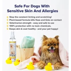 VetSmart Formulas Protect Home & Dog Spray, 8-oz Bottle 13 VetSmart Formulas Protect Home & Dog Spray, 8-oz Bottle -Pet Wellness 757918 PT6. AC SS1800 V1674223541